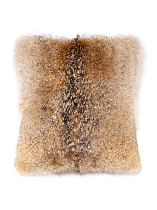 Coyote Pillow