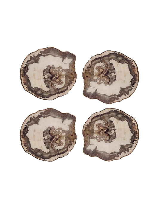 Petrified Wood Coasters