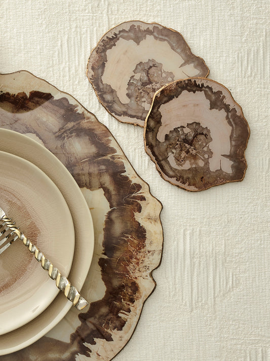 Petrified Wood Coasters