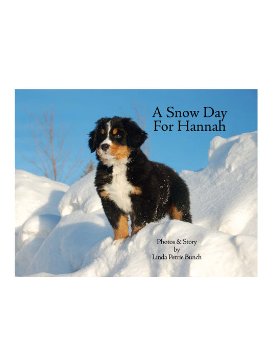 A Snow Day For Hannah
