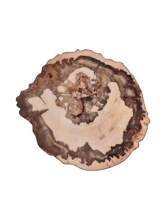 Petrified Wood Placemat